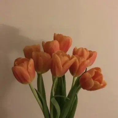 Profile image of 덕개