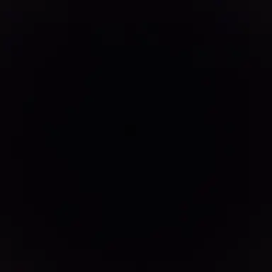 Profile image of 유기사