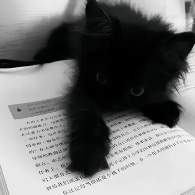 Profile image of 황수현