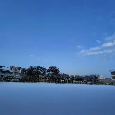 Profile image of 유저님들