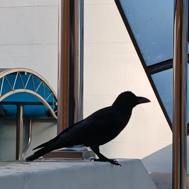 Profile image of 틀팁 친구들