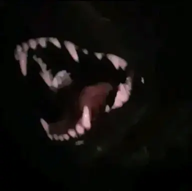 Profile image of Silas