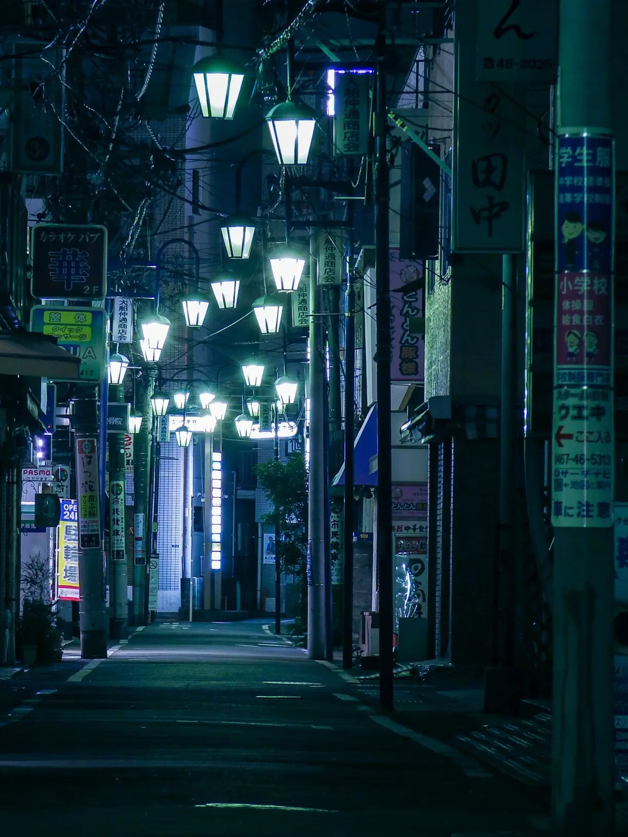 sen0726의 夜に咲く花