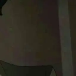 Profile image of 太宰治