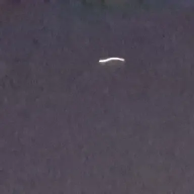 Profile image of 진태현