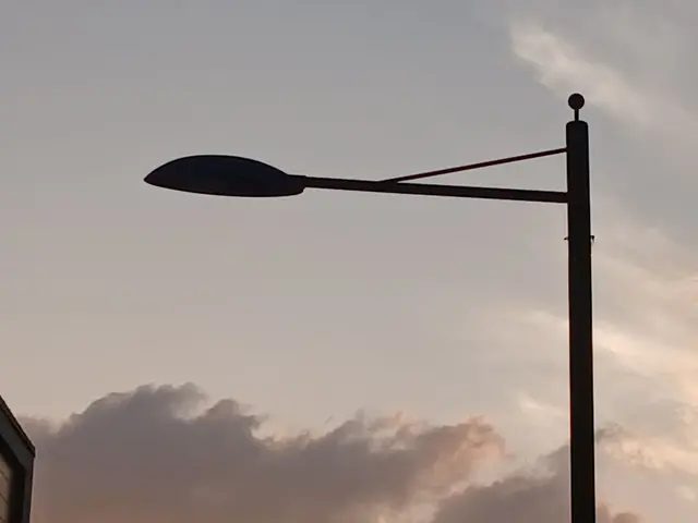 Profile image of 엔리