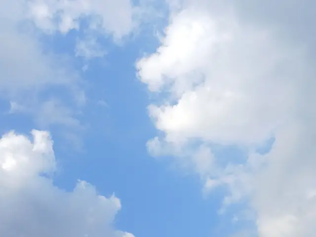 Profile image of 엔리