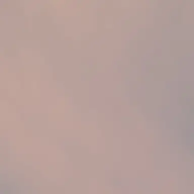 Profile image of 김여우