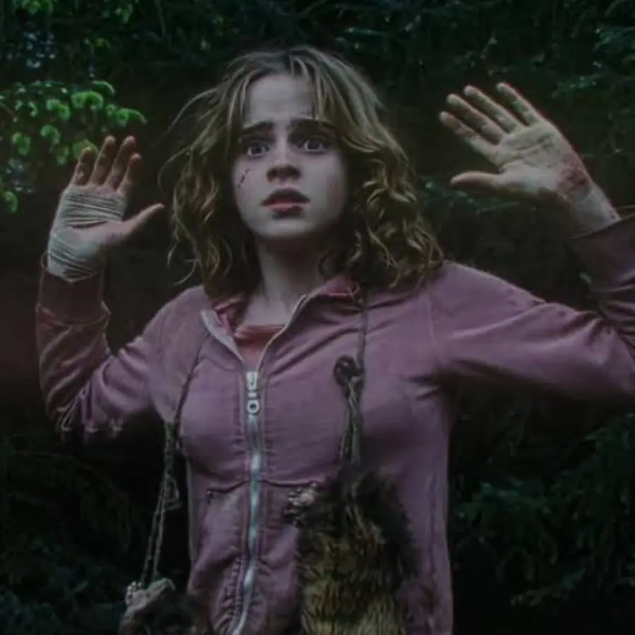 Thereelspiderguy의 Hermione Granger