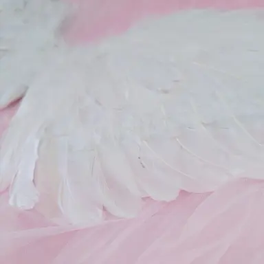 Profile image of 밥풀
