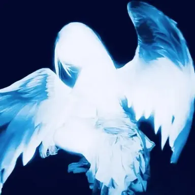 Profile image of 벨키