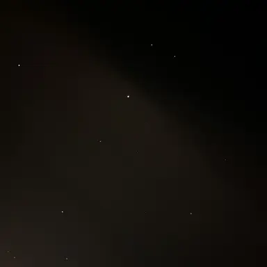 Profile image of 김 동 현