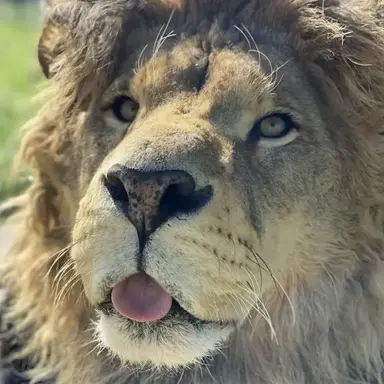 Profile image of Jon