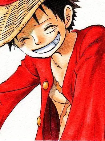 tokunei_y_14의 《ルフィ に 溺愛 される》。