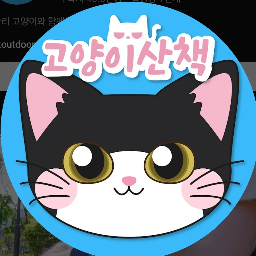 고양이산책 시즌2