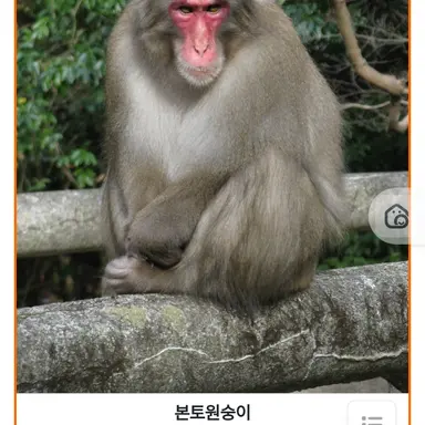 Profile image of 뭔숨미