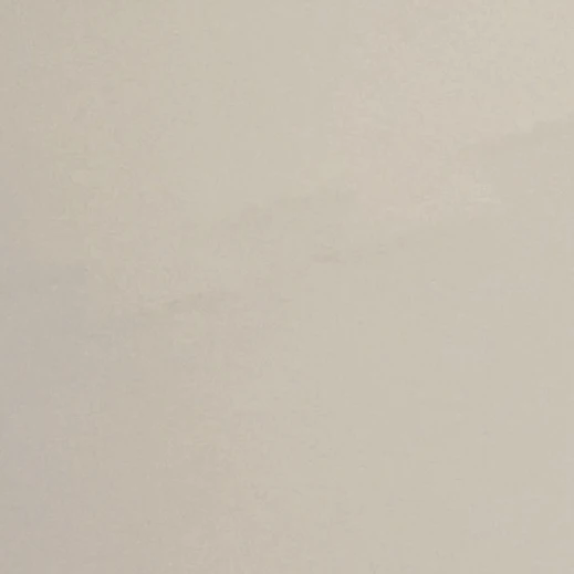 전원우