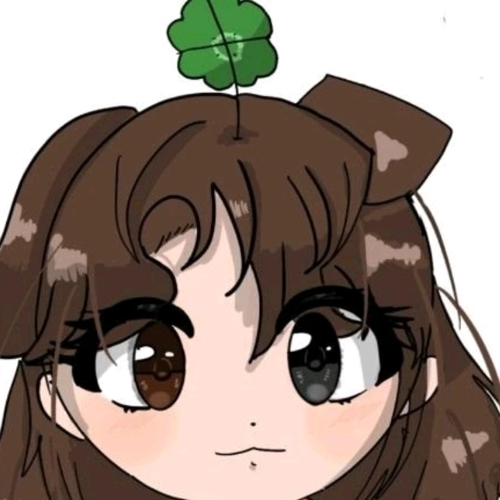 쪼코