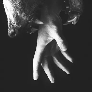 Profile image of 차태진