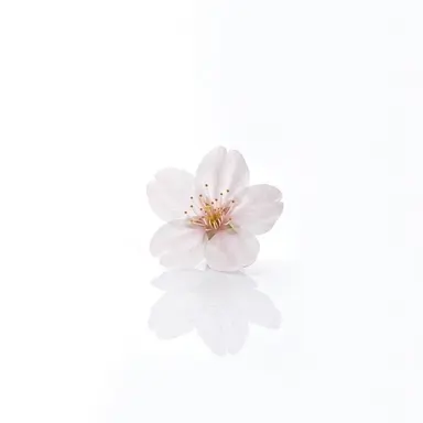 Profile image of O-haru