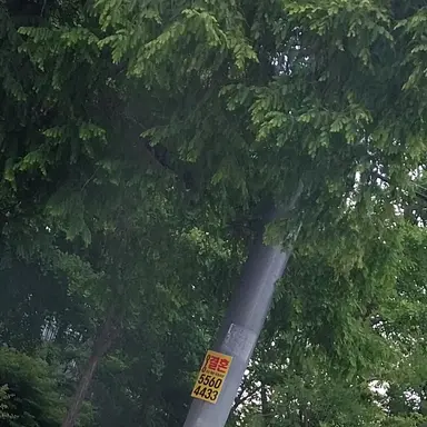 Profile image of 예성