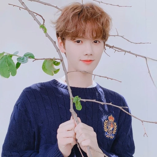 강민희