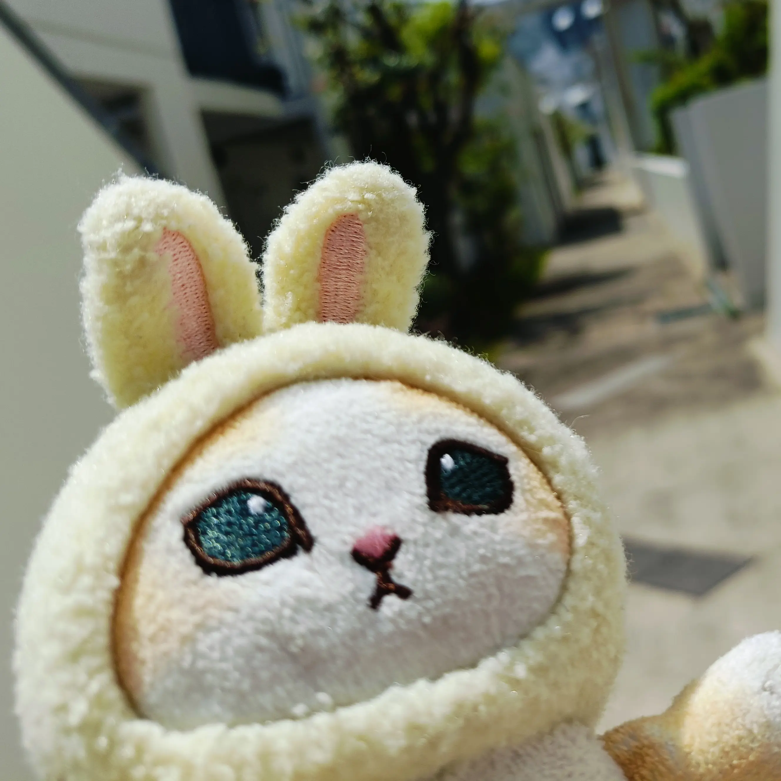 SpryGesso7885의 うさみちゃん