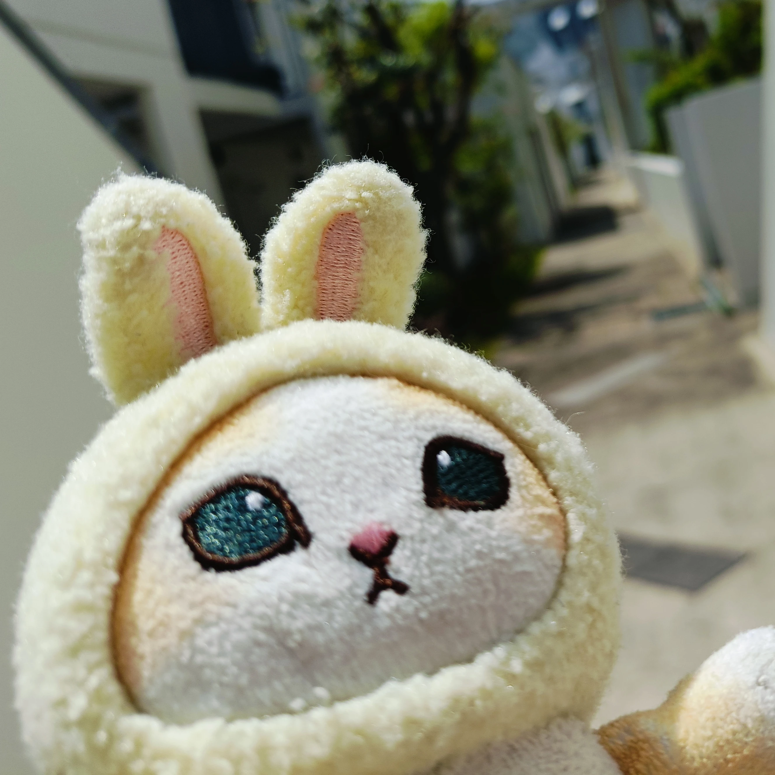 うさみちゃん