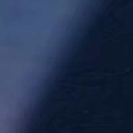 大我