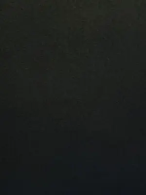 orereo의 自分用 ホ