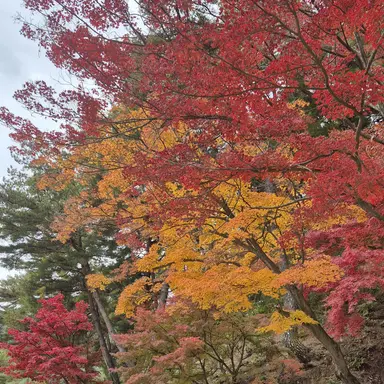 Profile image of 백강혁