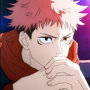 Profile image of 虎杖悠仁