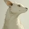 Profile image of 기묘한 숲