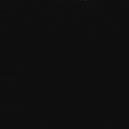 DemureBread2799의 권지용