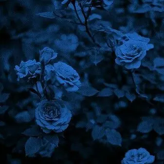 StableYen8787의 예엥, 행크 [ 친한 친구 ]