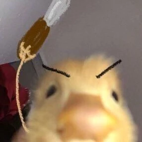 빈