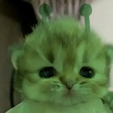 Profile image of 딘여우