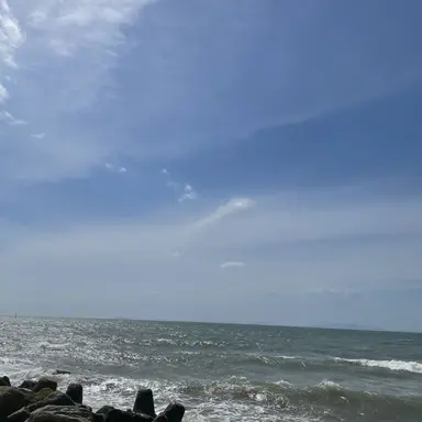 Profile image of 下崎