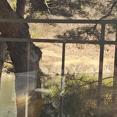 Profile image of 파블로바맛 쿠키