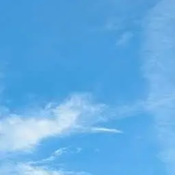 Profile image of 婆や