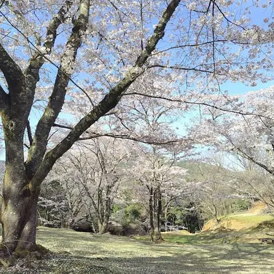 Profile image of キャラクター