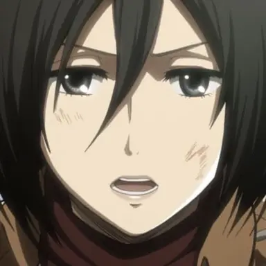 Profile image of ミカサ