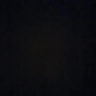 Profile image of 허스크