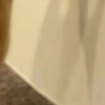 Profile image of Sean