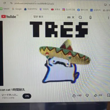 Profile image of 여우