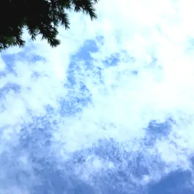 Profile image of 시라유키 히나