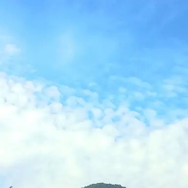 Profile image of 아라하시 타비