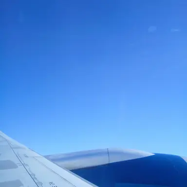 Profile image of 아이리 칸나