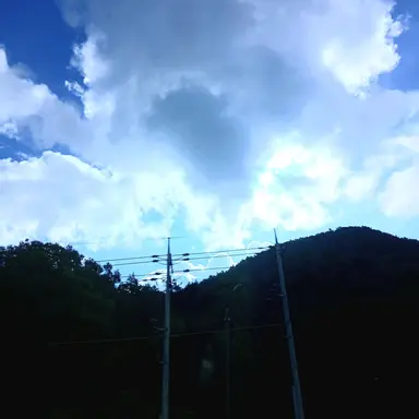 Profile image of 텐코 시부키