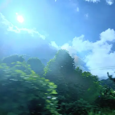 Profile image of 네네코 마시로